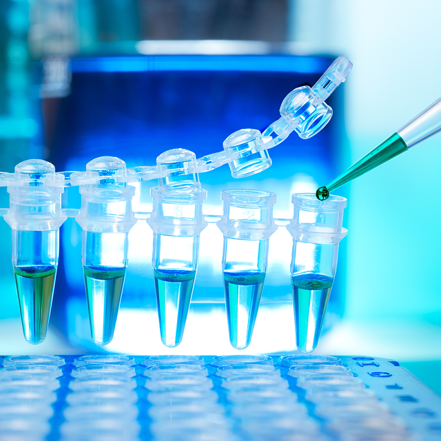 四甲基二丙三胺，確保聚氨酯泡沫的快速起發(fā)和均勻發(fā)泡膨脹