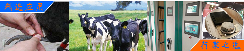 用于制備醫(yī)療床墊、手術臺墊和康復器材的模塑高回彈聚醚