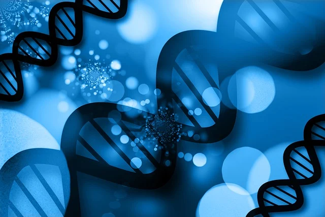 高活性CASE(非泡PU)通用催化劑，顯著縮短材料的脫模和固化時(shí)間